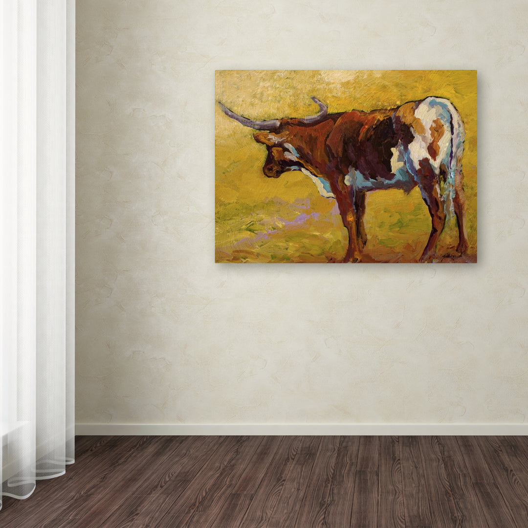 Marion Rose Longhorn Back Portrait Ready to Hang Canvas Art 14 x 19 Inches Made in USA Image 3