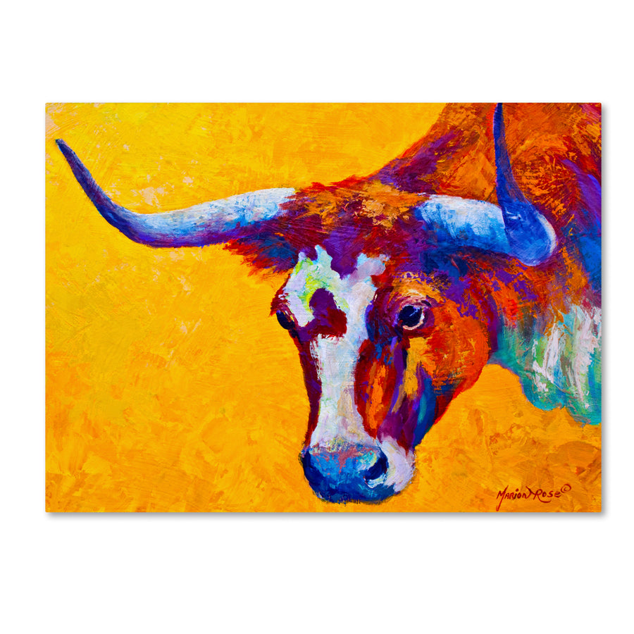 Marion Rose Longhorn Portrait Ready to Hang Canvas Art 14 x 19 Inches Made in USA Image 1