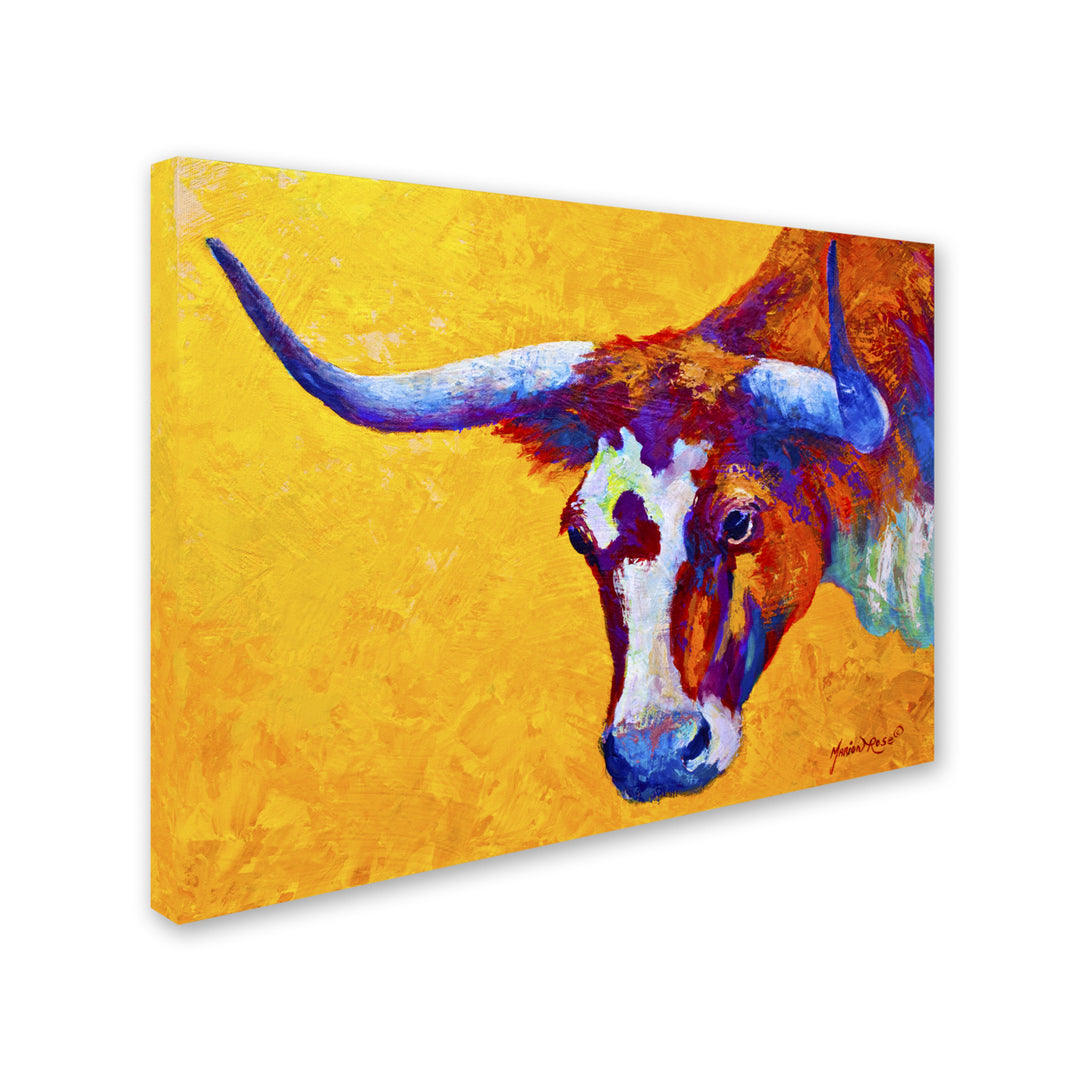 Marion Rose Longhorn Portrait Ready to Hang Canvas Art 14 x 19 Inches Made in USA Image 2