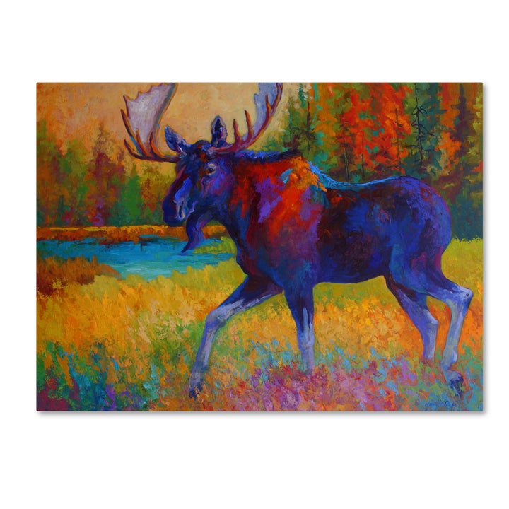 Marion Rose Majestic Moose Ready to Hang Canvas Art 14 x 19 Inches Made in USA Image 1