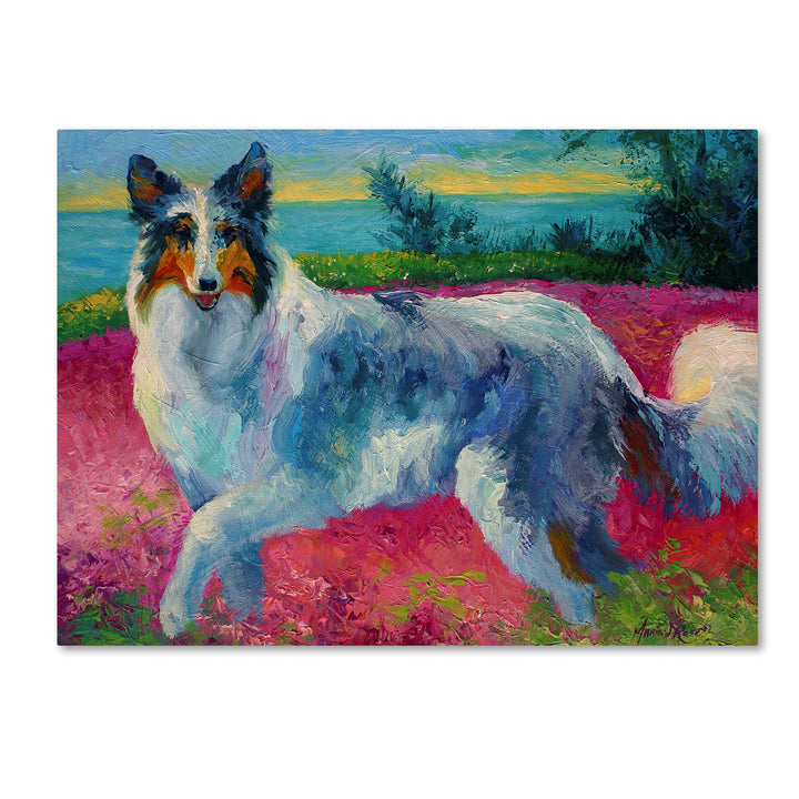 Marion Rose Mony Collie Ready to Hang Canvas Art 14 x 19 Inches Made in USA Image 1