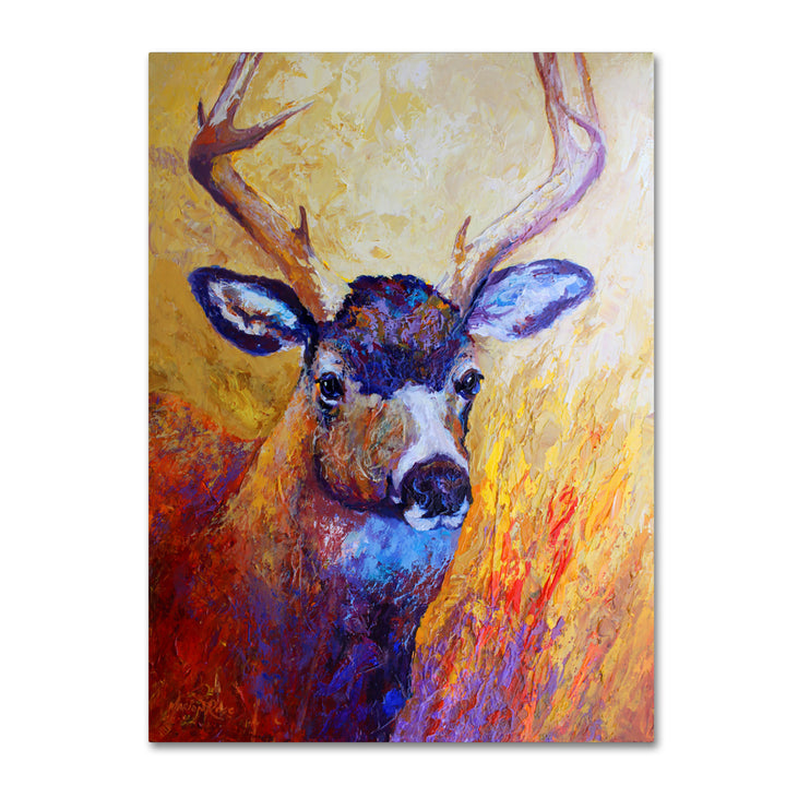 Marion Rose Mule Deer Buck Ready to Hang Canvas Art 14 x 19 Inches Made in USA Image 1