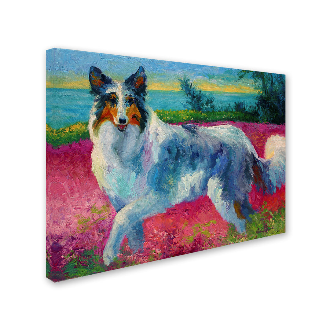 Marion Rose Mony Collie Ready to Hang Canvas Art 14 x 19 Inches Made in USA Image 2