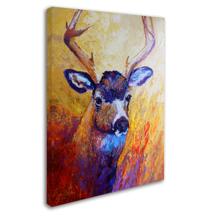 Marion Rose Mule Deer Buck Ready to Hang Canvas Art 14 x 19 Inches Made in USA Image 2