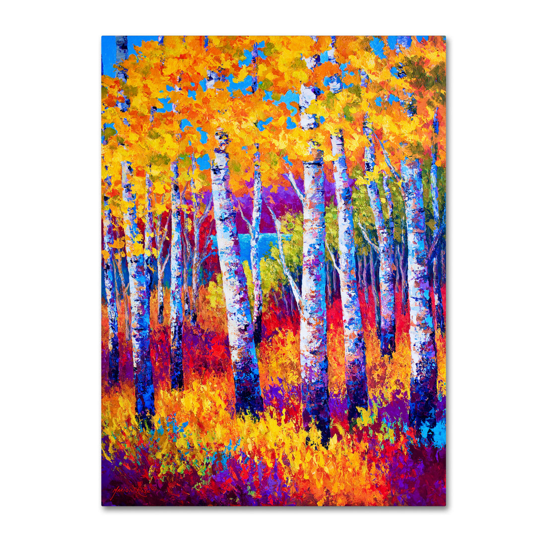 Marion Rose Path To The Lake Ready to Hang Canvas Art 14 x 19 Inches Made in USA Image 1