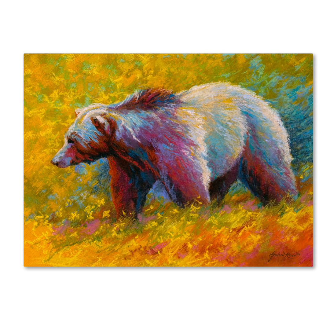 Marion Rose Pastel Grizz Ready to Hang Canvas Art 14 x 19 Inches Made in USA Image 1