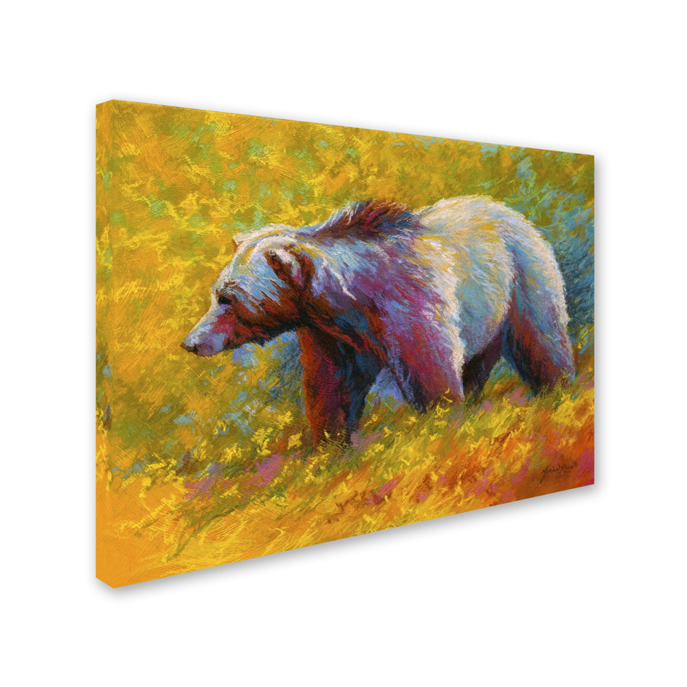 Marion Rose Pastel Grizz Ready to Hang Canvas Art 14 x 19 Inches Made in USA Image 2