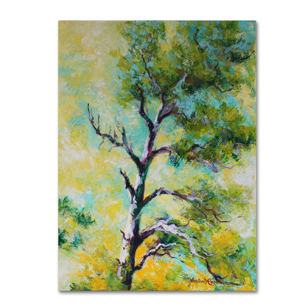 Marion Rose Pine Abstract Ready to Hang Canvas Art 14 x 19 Inches Made in USA Image 1