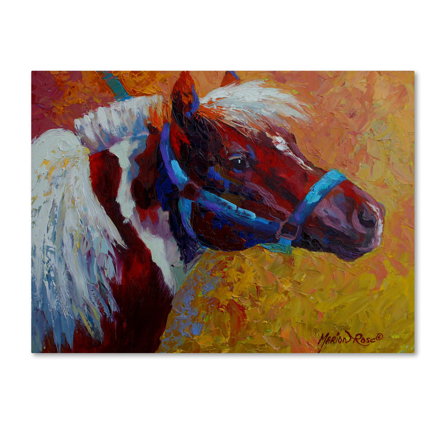 Marion Rose Pony Boy 1 Ready to Hang Canvas Art 14 x 19 Inches Made in USA Image 1