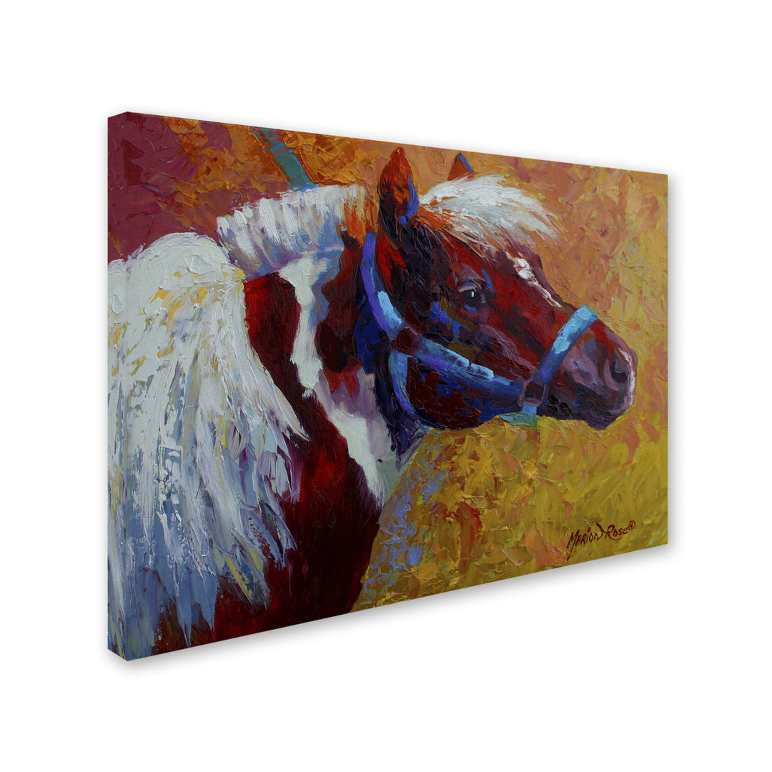 Marion Rose Pony Boy 1 Ready to Hang Canvas Art 14 x 19 Inches Made in USA Image 2