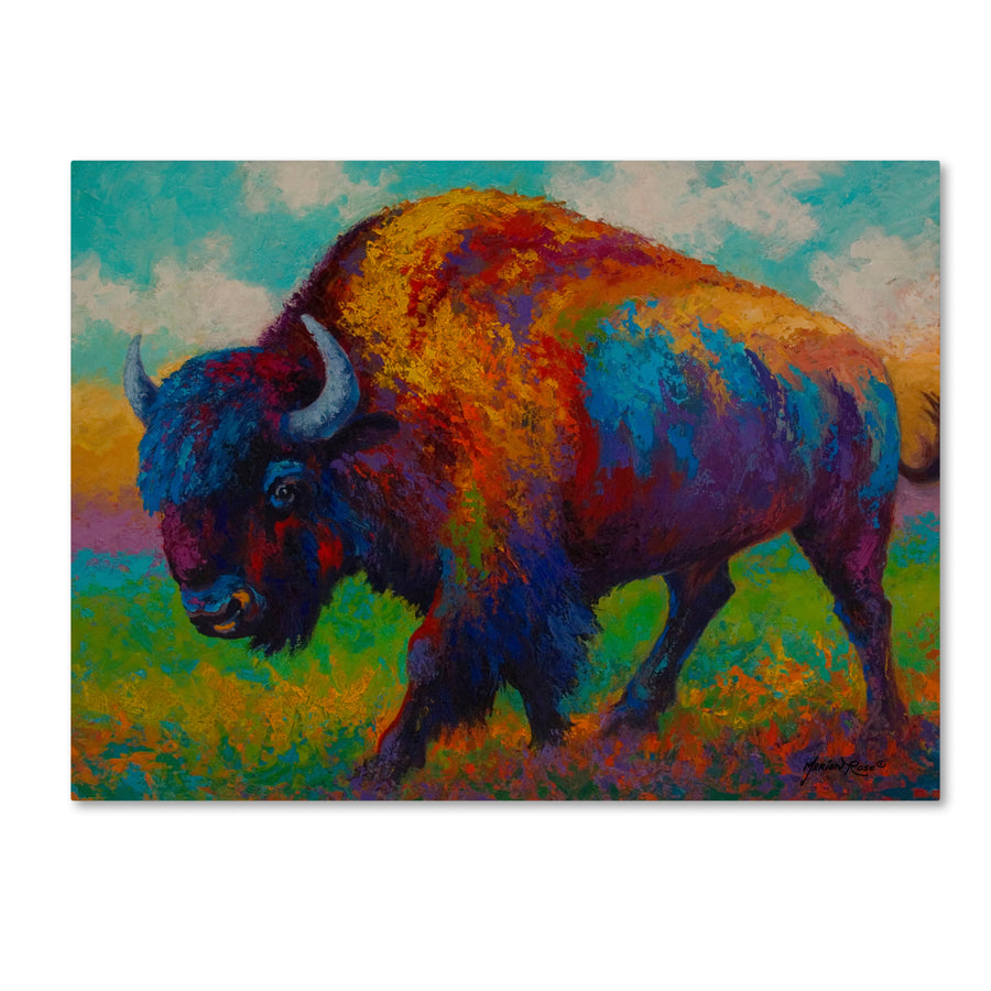 Marion Rose Prairie Muse Ready to Hang Canvas Art 14 x 19 Inches Made in USA Image 1