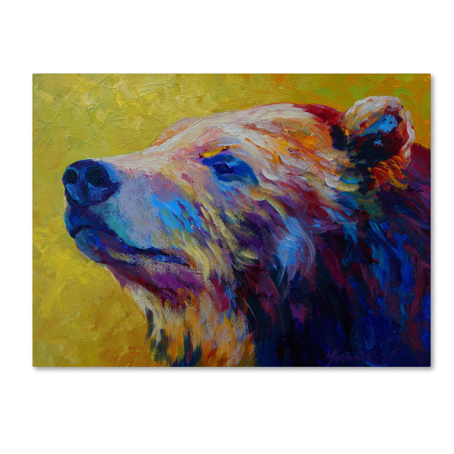 Marion Rose Pretty Boy Grizz Ready to Hang Canvas Art 14 x 19 Inches Made in USA Image 1