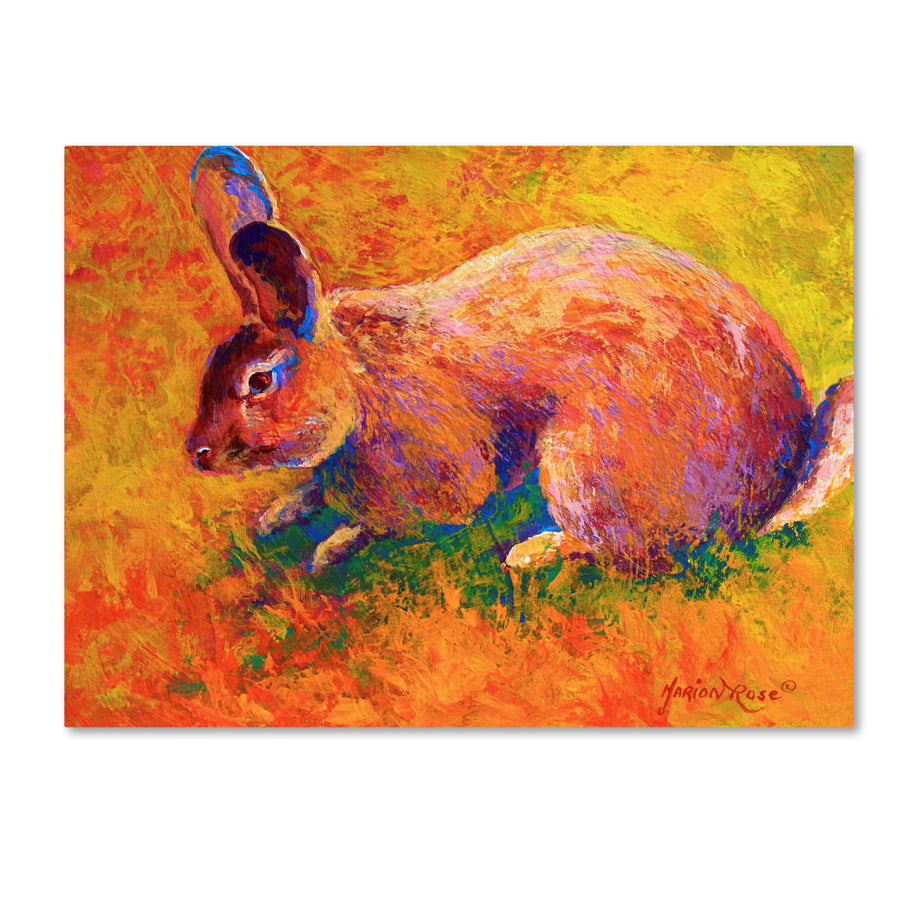 Marion Rose Rabbit 1 Ready to Hang Canvas Art 14 x 19 Inches Made in USA Image 1