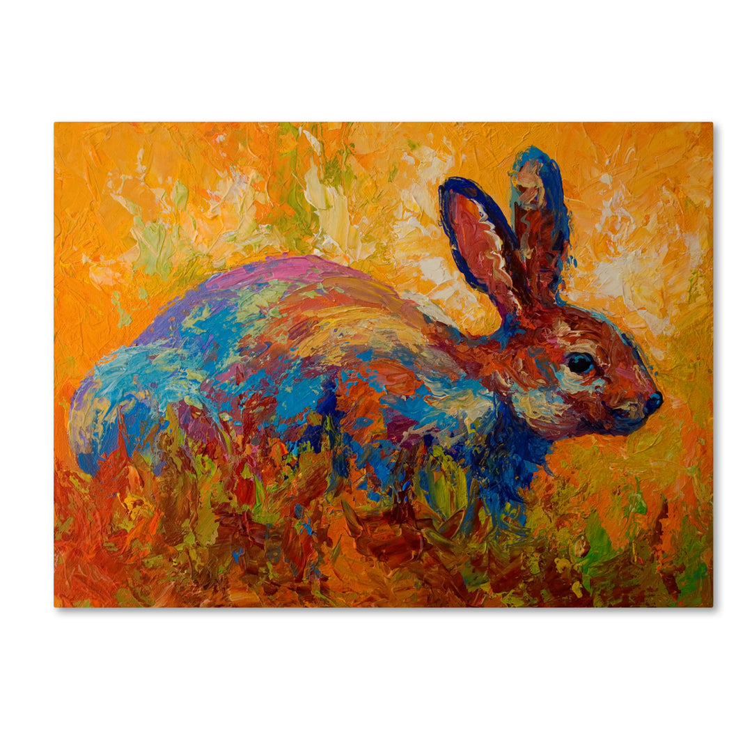 Marion Rose Rabbit II Ready to Hang Canvas Art 14 x 19 Inches Made in USA Image 1