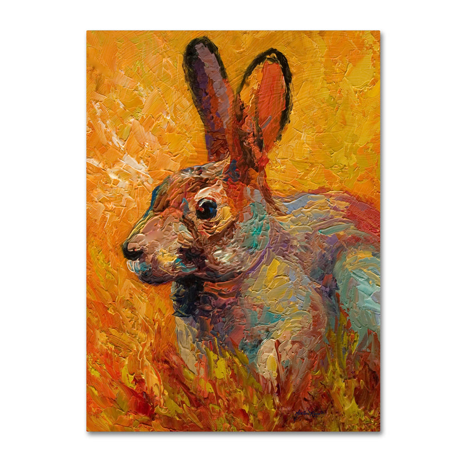 Marion Rose Rabbit III Ready to Hang Canvas Art 14 x 19 Inches Made in USA Image 1