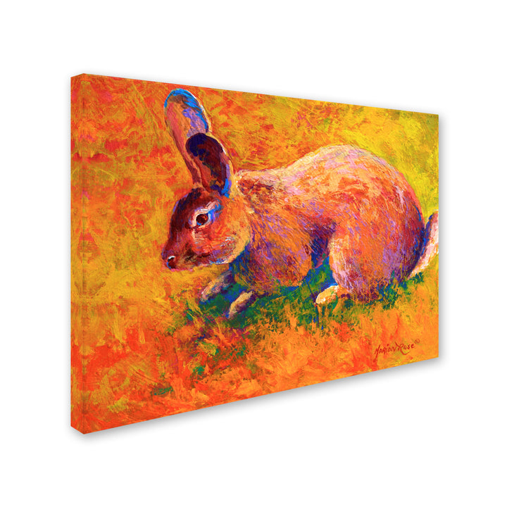 Marion Rose Rabbit 1 Ready to Hang Canvas Art 14 x 19 Inches Made in USA Image 2