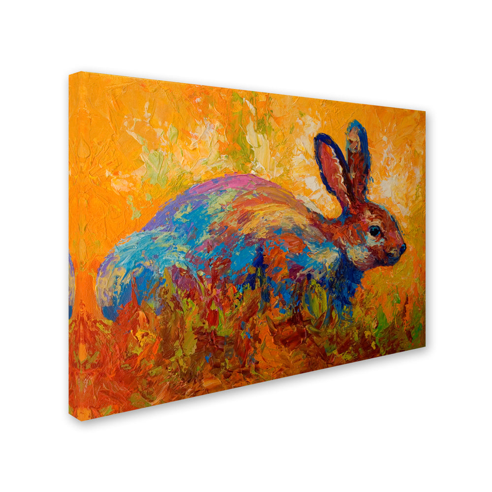 Marion Rose Rabbit II Ready to Hang Canvas Art 14 x 19 Inches Made in USA Image 2