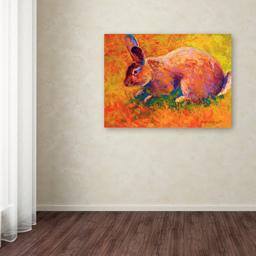 Marion Rose Rabbit 1 Ready to Hang Canvas Art 14 x 19 Inches Made in USA Image 3