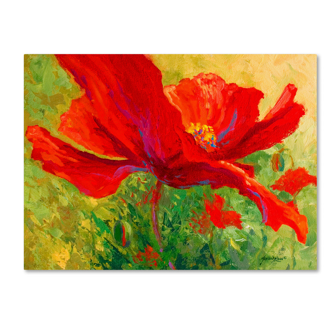 Marion Rose Red Poppy I Ready to Hang Canvas Art 14 x 19 Inches Made in USA Image 1