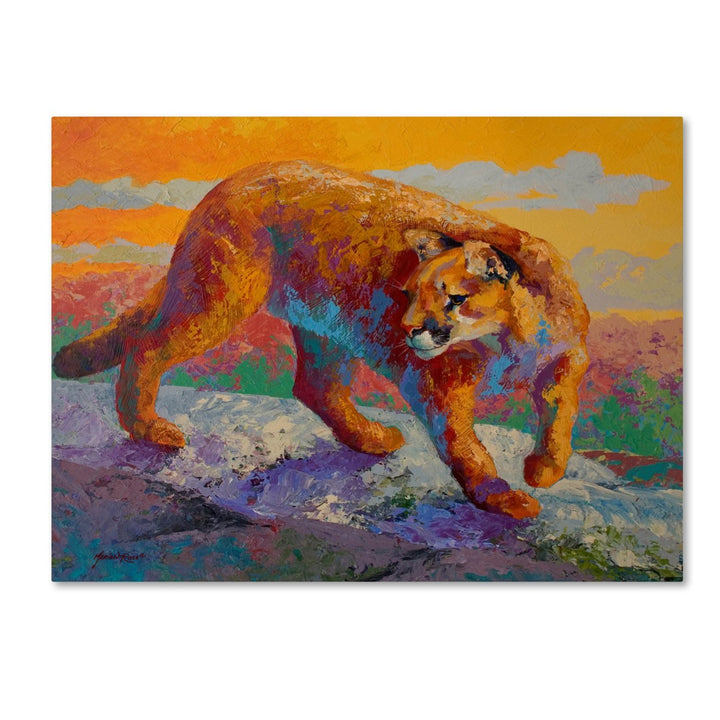 Marion Rose Ridge Cougar Ready to Hang Canvas Art 14 x 19 Inches Made in USA Image 1