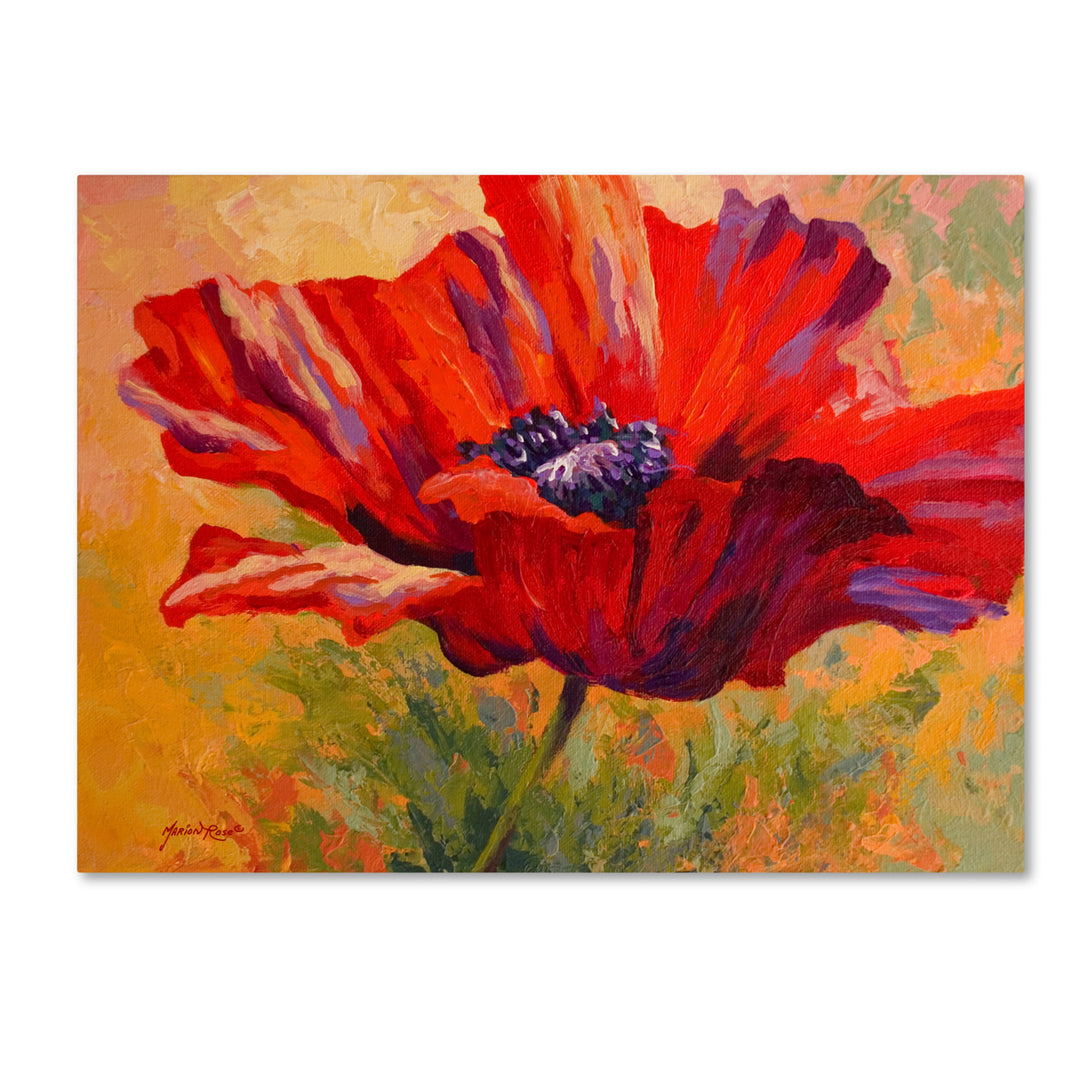 Marion Rose Red Poppy II Ready to Hang Canvas Art 14 x 19 Inches Made in USA Image 1