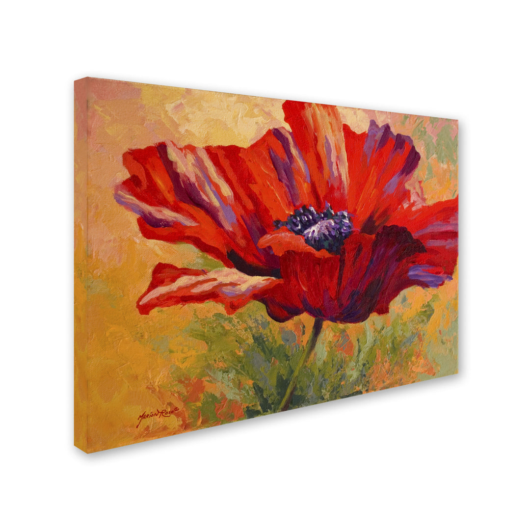 Marion Rose Red Poppy II Ready to Hang Canvas Art 14 x 19 Inches Made in USA Image 2