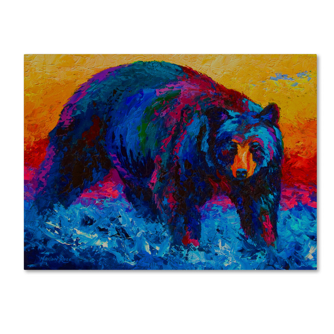 Marion Rose Scouting Fish Black Bear Ready to Hang Canvas Art 14 x 19 Inches Made in USA Image 1