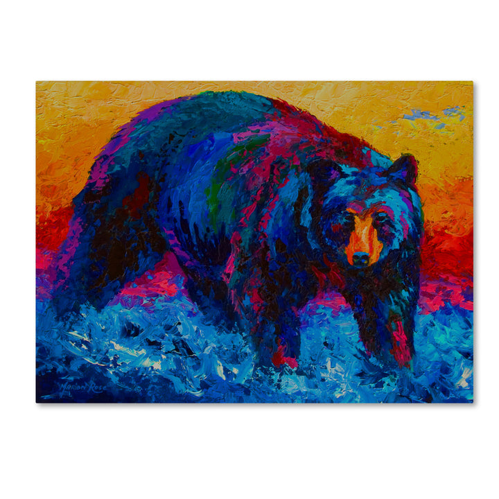 Marion Rose Scouting Fish Black Bear Ready to Hang Canvas Art 14 x 19 Inches Made in USA Image 1