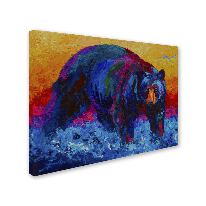 Marion Rose Scouting Fish Black Bear Ready to Hang Canvas Art 14 x 19 Inches Made in USA Image 2