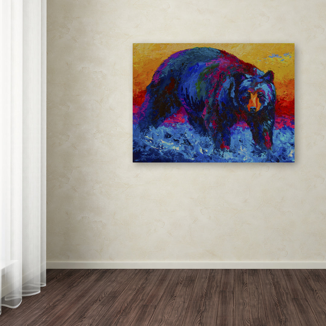 Marion Rose Scouting Fish Black Bear Ready to Hang Canvas Art 14 x 19 Inches Made in USA Image 3