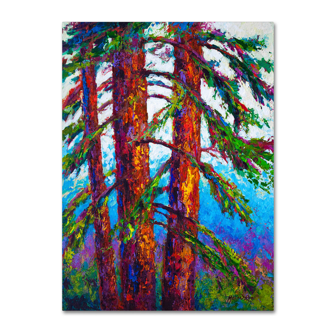 Marion Rose Sequoia Ready to Hang Canvas Art 14 x 19 Inches Made in USA Image 1