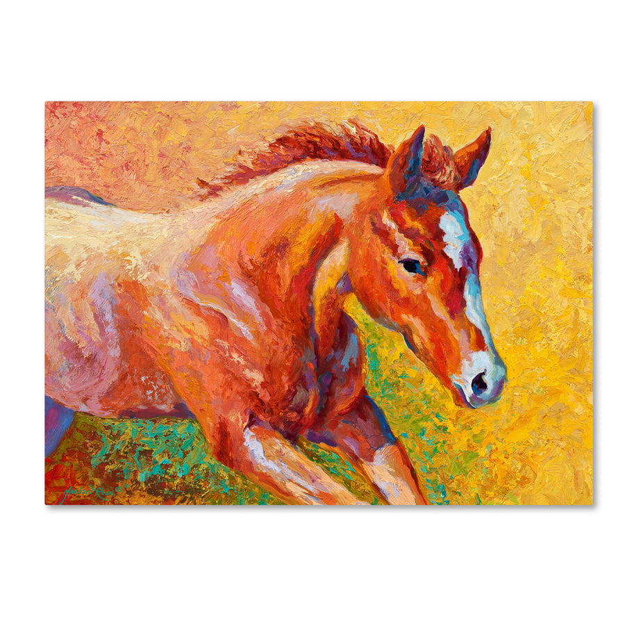 Marion Rose Sorrel Filly Ready to Hang Canvas Art 14 x 19 Inches Made in USA Image 1