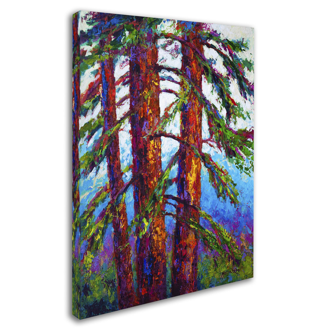 Marion Rose Sequoia Ready to Hang Canvas Art 14 x 19 Inches Made in USA Image 2