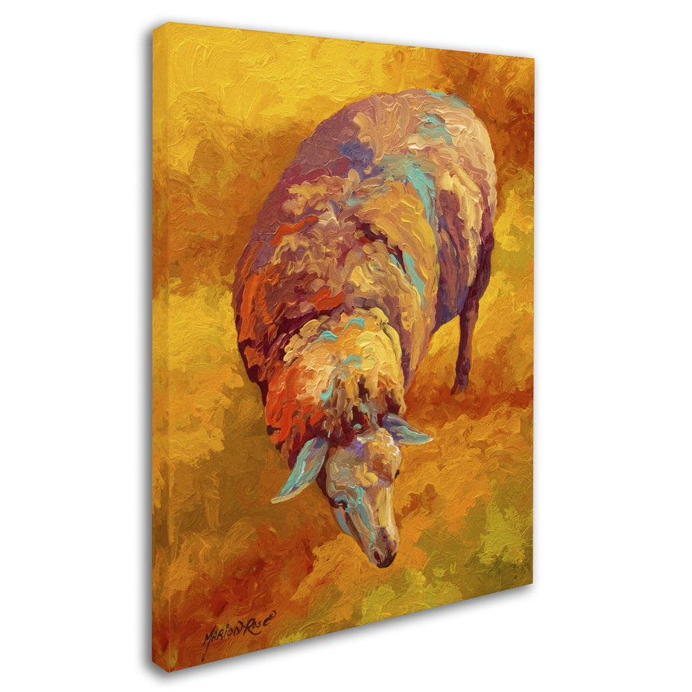 Marion Rose Sheep Ready to Hang Canvas Art 14 x 19 Inches Made in USA Image 2