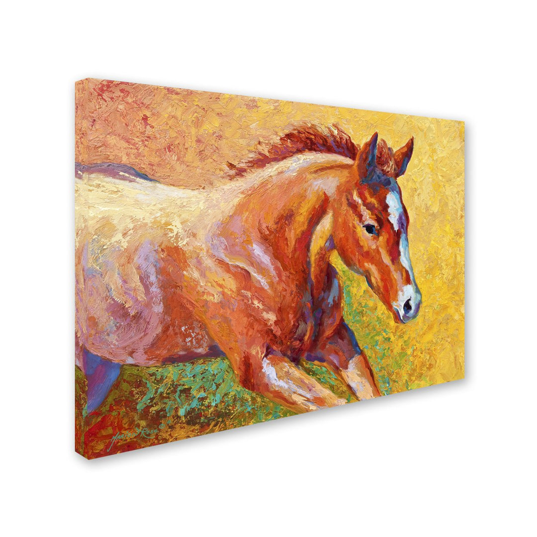 Marion Rose Sorrel Filly Ready to Hang Canvas Art 14 x 19 Inches Made in USA Image 2