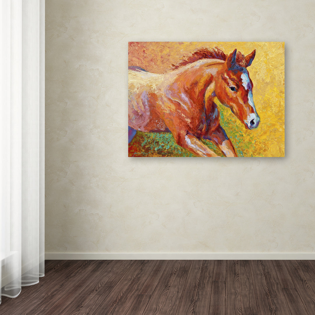 Marion Rose Sorrel Filly Ready to Hang Canvas Art 14 x 19 Inches Made in USA Image 3