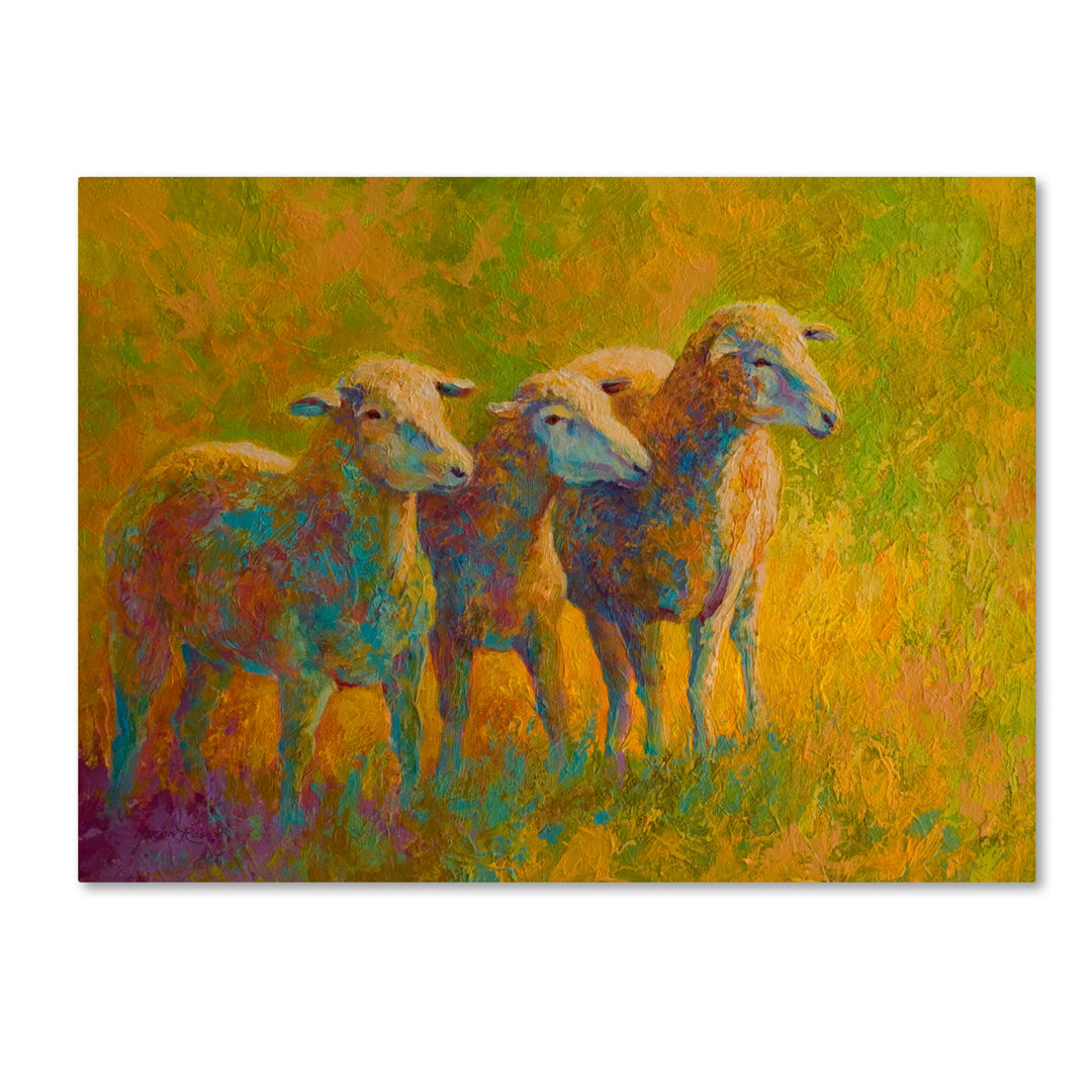 Marion Rose Sheep Trio Ready to Hang Canvas Art 14 x 19 Inches Made in USA Image 1