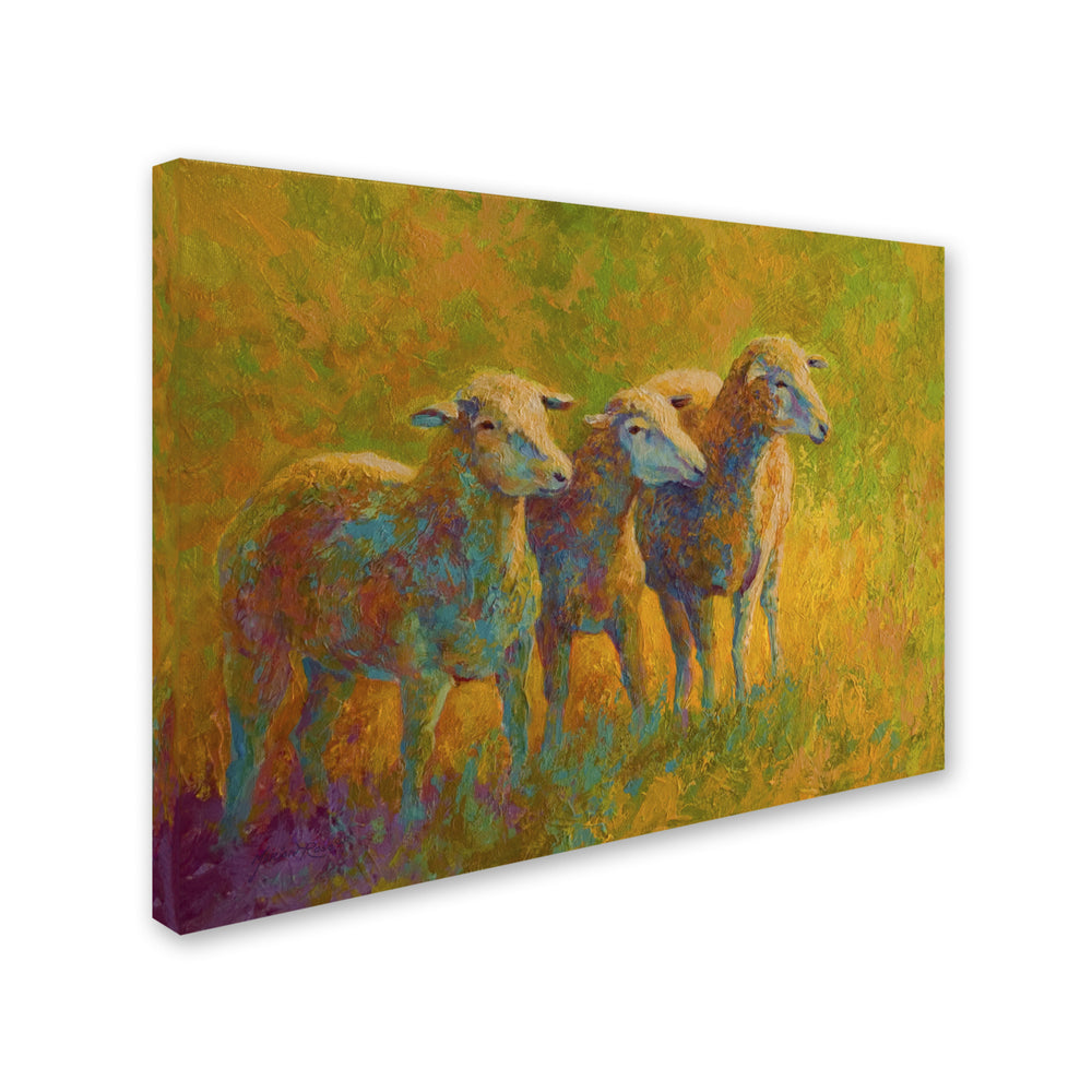 Marion Rose Sheep Trio Ready to Hang Canvas Art 14 x 19 Inches Made in USA Image 2