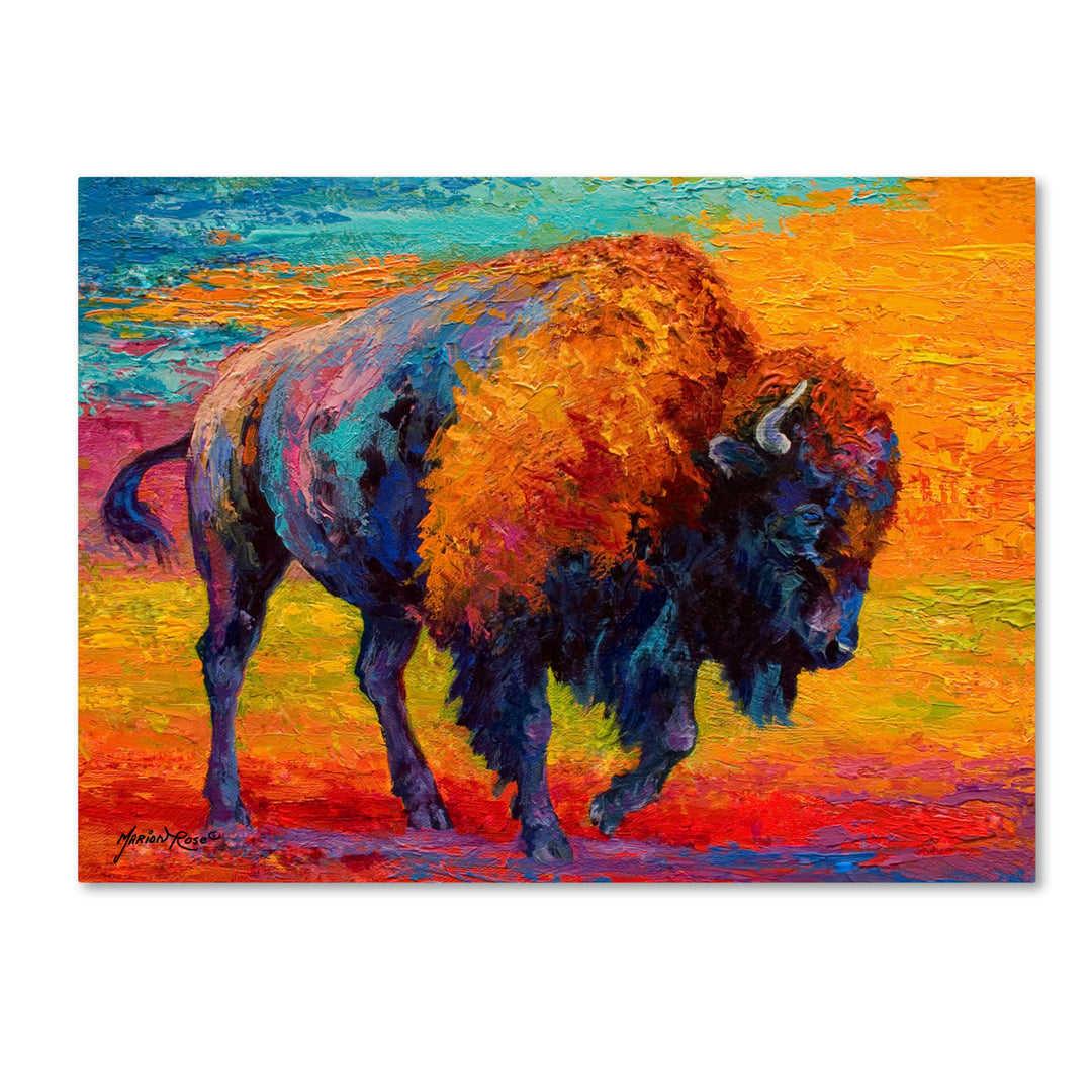 Marion Rose Spirit Of The Prairie Ready to Hang Canvas Art 14 x 19 Inches Made in USA Image 1