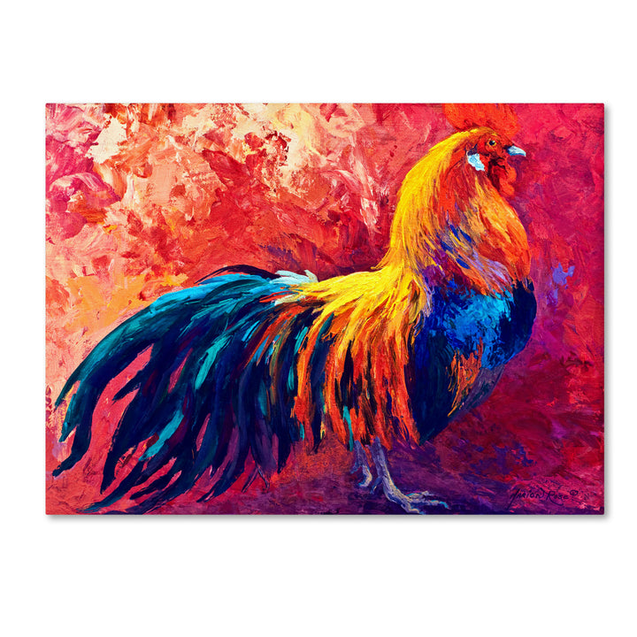 Marion Rose Strutting His Stuff Ready to Hang Canvas Art 14 x 19 Inches Made in USA Image 1