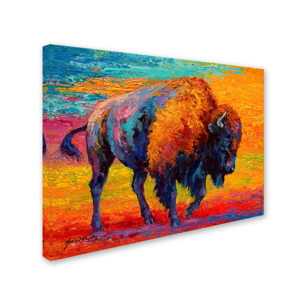 Marion Rose Spirit Of The Prairie Ready to Hang Canvas Art 14 x 19 Inches Made in USA Image 2