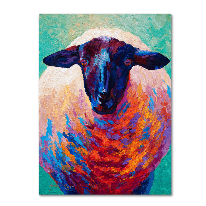 Marion Rose Suffolk Ewe 4 Ready to Hang Canvas Art 14 x 19 Inches Made in USA Image 1