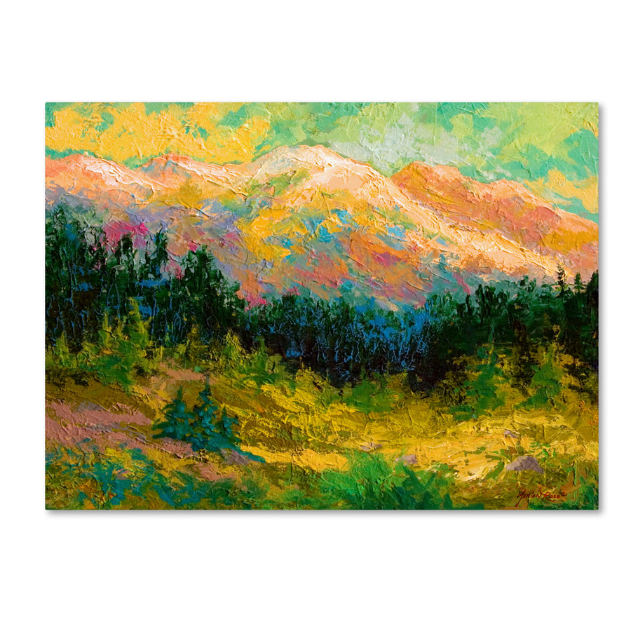 Marion Rose Summer High Country Ready to Hang Canvas Art 14 x 19 Inches Made in USA Image 1
