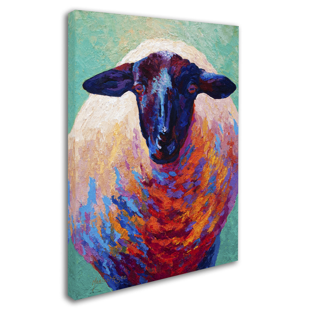 Marion Rose Suffolk Ewe 4 Ready to Hang Canvas Art 14 x 19 Inches Made in USA Image 2