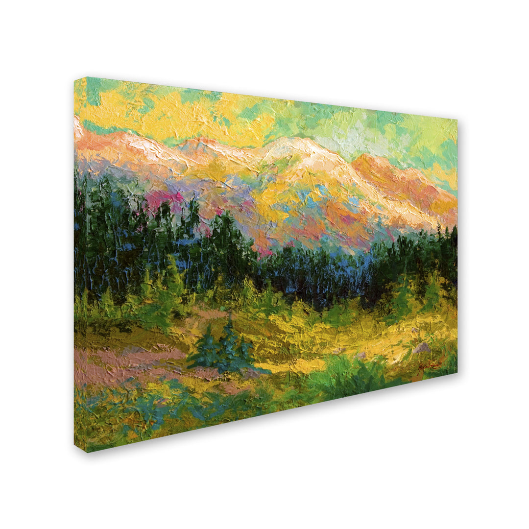 Marion Rose Summer High Country Ready to Hang Canvas Art 14 x 19 Inches Made in USA Image 2