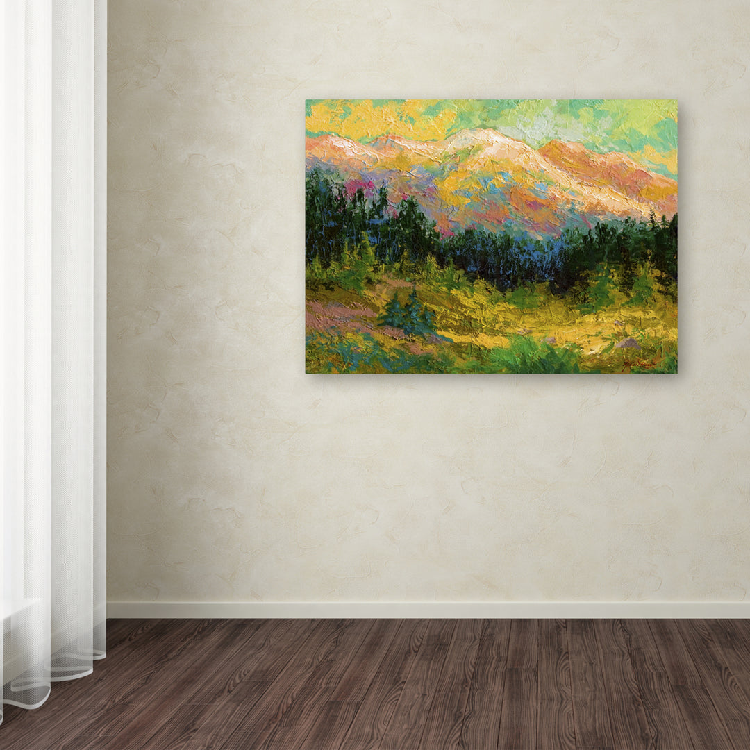 Marion Rose Summer High Country Ready to Hang Canvas Art 14 x 19 Inches Made in USA Image 3