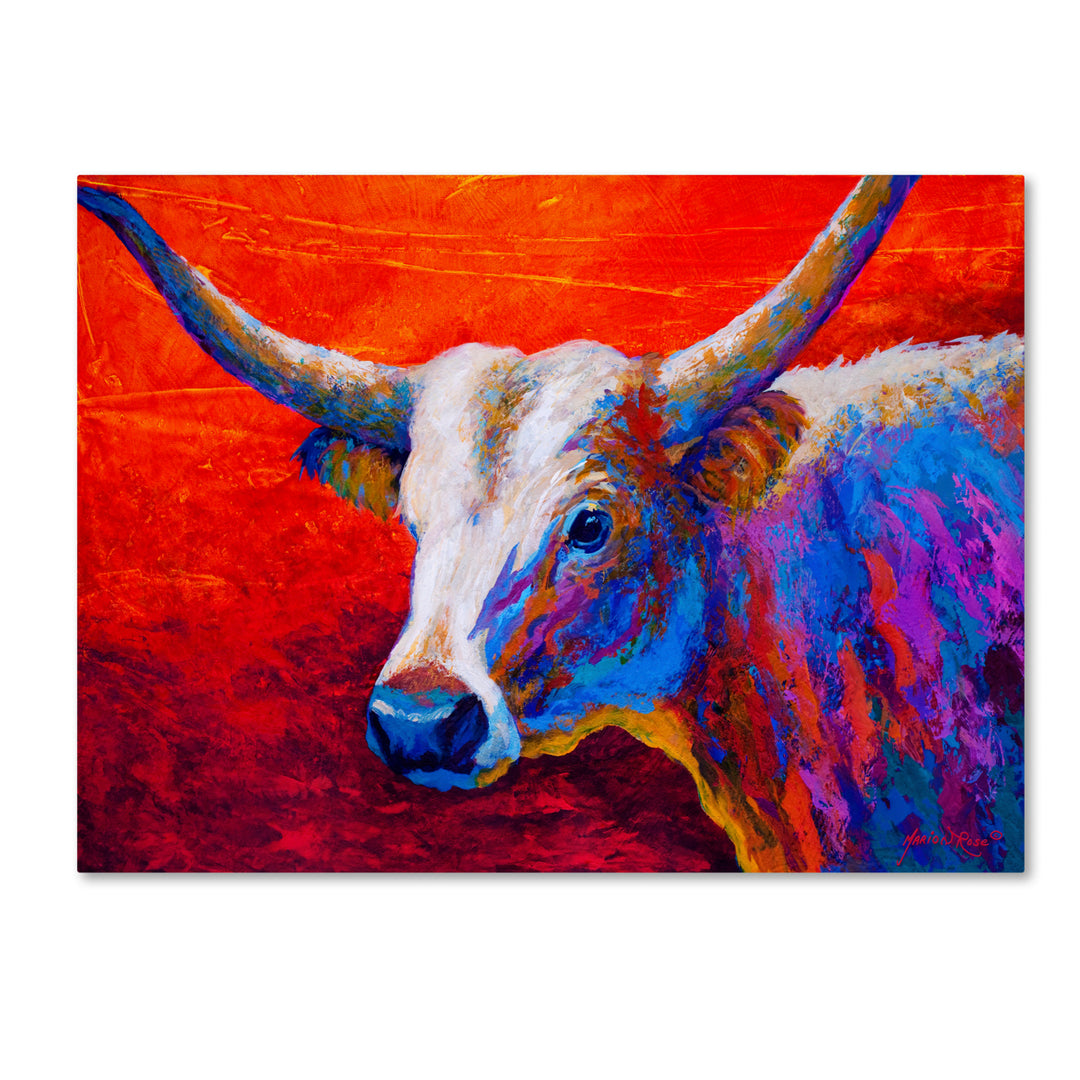 Marion Rose Sunset Ablaze Longhorn Ready to Hang Canvas Art 14 x 19 Inches Made in USA Image 1