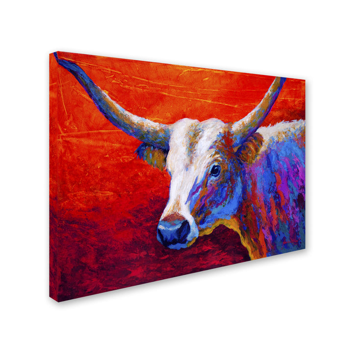Marion Rose Sunset Ablaze Longhorn Ready to Hang Canvas Art 14 x 19 Inches Made in USA Image 2