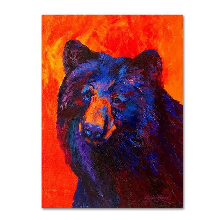 Marion Rose Thoughtful Black Bear Ready to Hang Canvas Art 14 x 19 Inches Made in USA Image 1