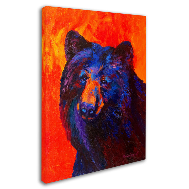 Marion Rose Thoughtful Black Bear Ready to Hang Canvas Art 14 x 19 Inches Made in USA Image 2